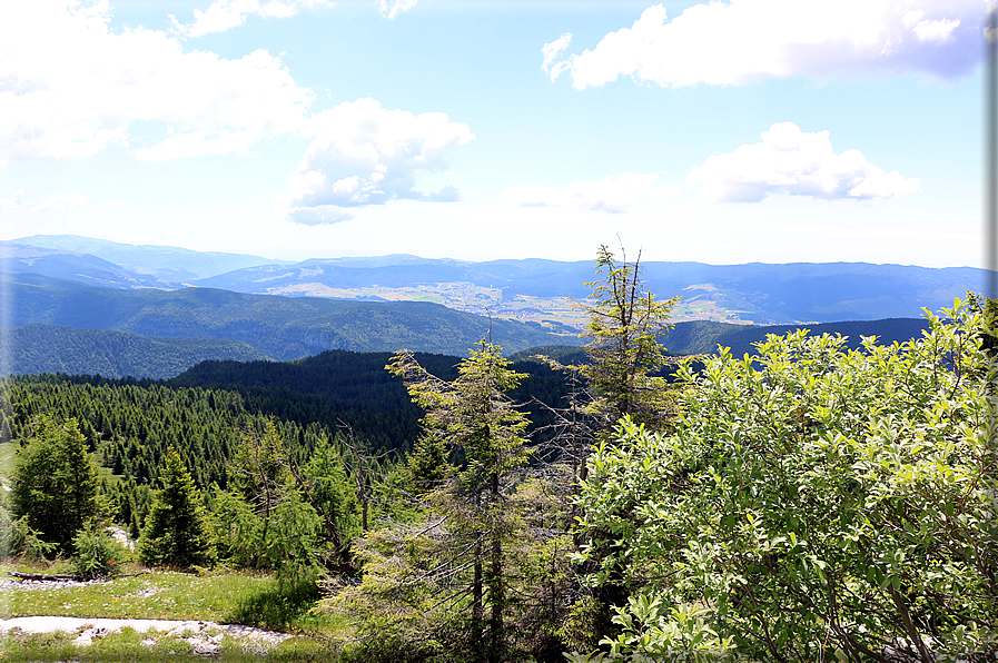 foto Panorama dal Monte Verena